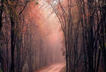 西漢姆以菲爾克魯格追趕多特，真是癡人說夢.