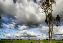 【原创】竞彩足球预测：周六016英足总杯-诺维奇VS布莱顿.