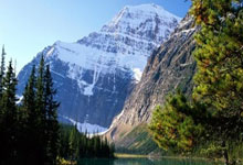 菲爾特足球俱樂部介紹.