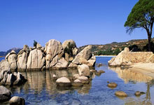 2022-2023賽季意大利杯賽程表.